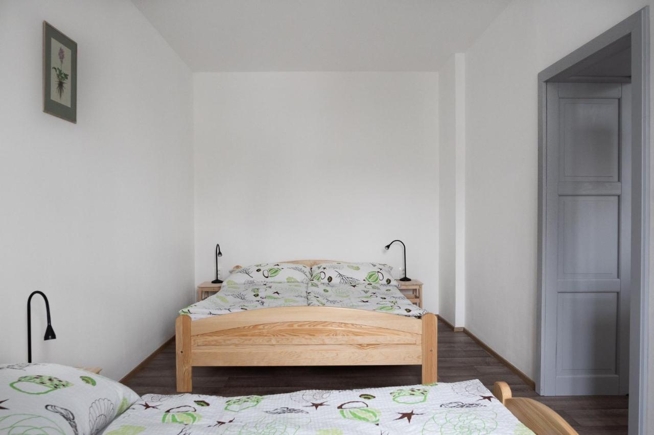 Apartmany16 Olesnice V Orlickych Horach Kültér fotó