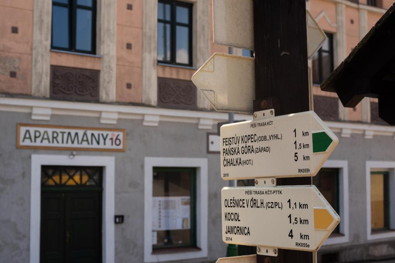 Apartmany16 Olesnice V Orlickych Horach Kültér fotó