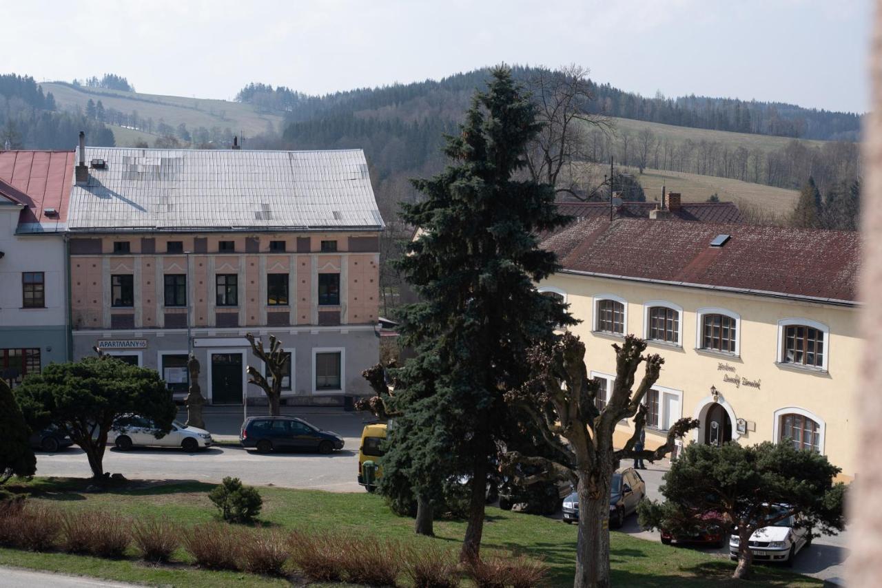Apartmany16 Olesnice V Orlickych Horach Kültér fotó